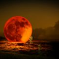 'Lua de Morango' com eclipse penumbral nesta sexta; confira café com poemas